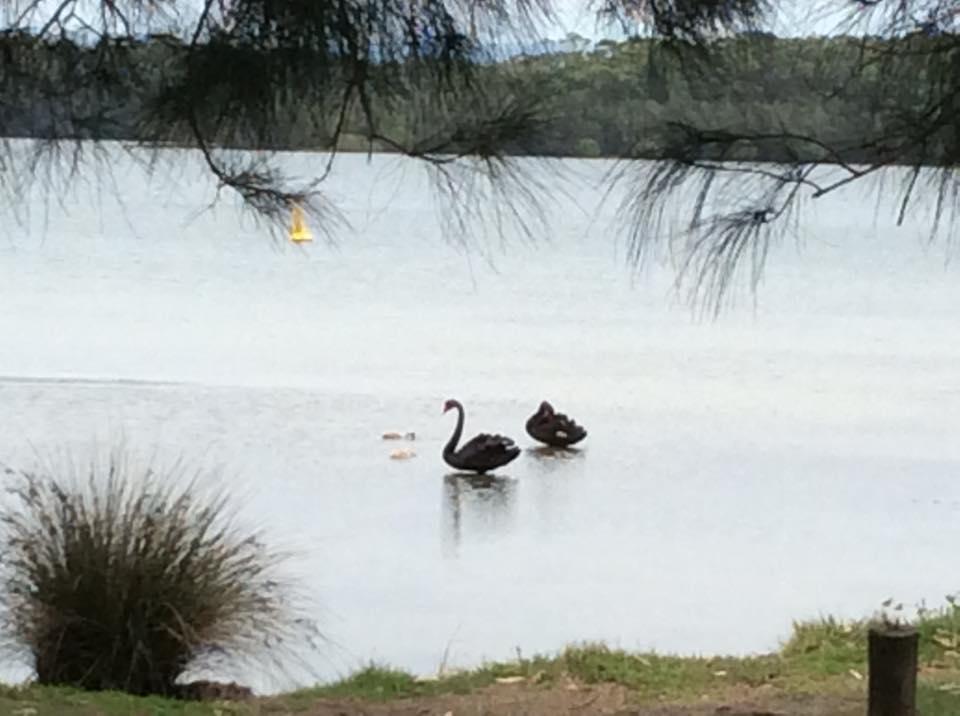 Aloha Water Front Caravan Park Hotel St Georges Basin Exterior foto